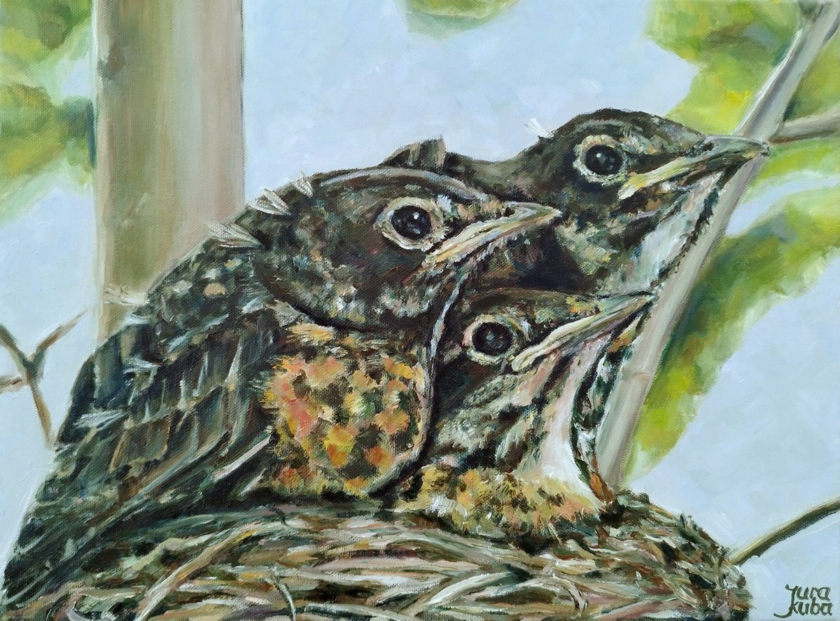 Birds At The Nest by Jura Kuba Art