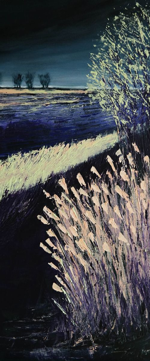 November Pastels- Fields and Colors Series by Danijela Dan