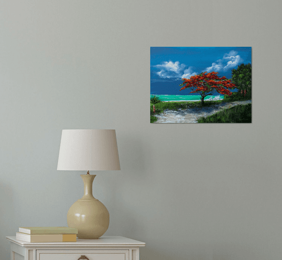 Flamboyan Tree