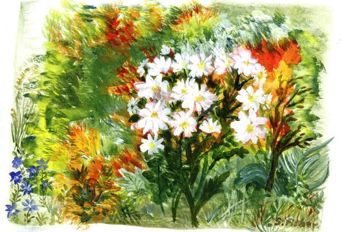 Daisies in coloured border by Sandra Fisher