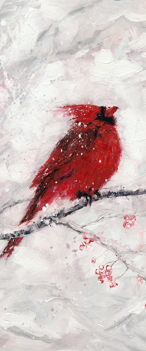 Red Cardinal by Doriana Popa