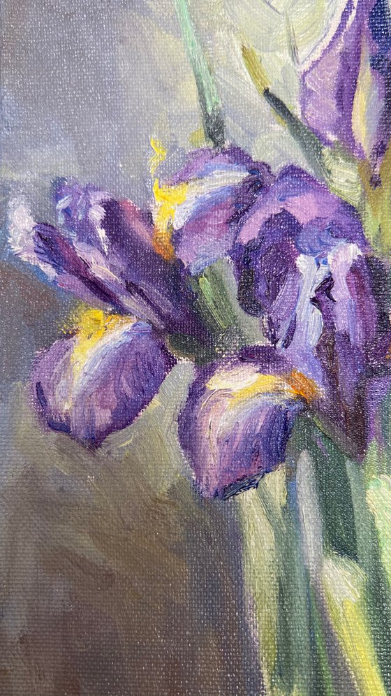 Violet irises