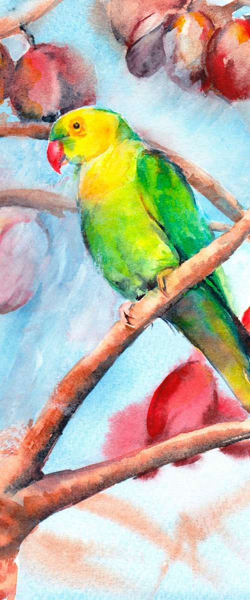 Parakeet by Anjana Cawdell