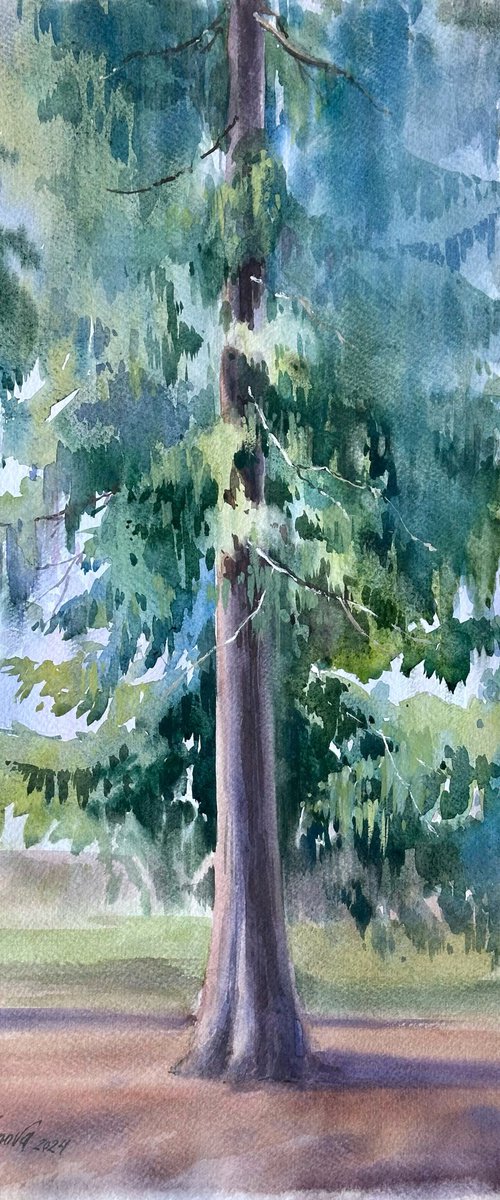Pine by Yuliia Ludanova