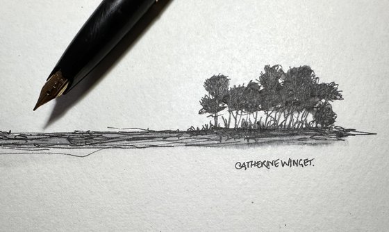 Trees in Pen and Ink - Norfolk Landscape English Countryside