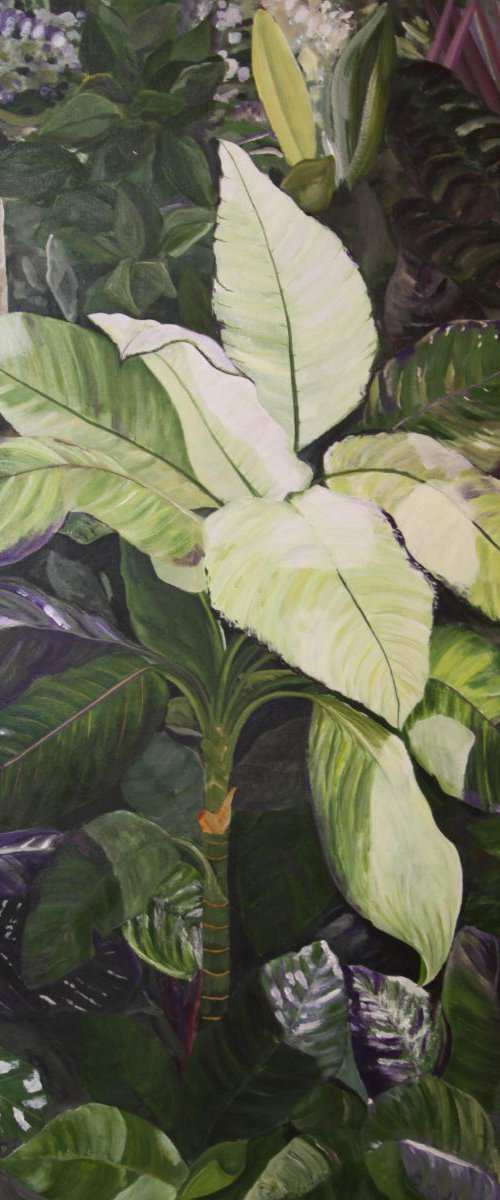 Floral Series 3 by Steven Fleit