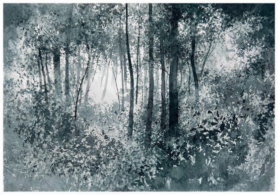 Silent Forest