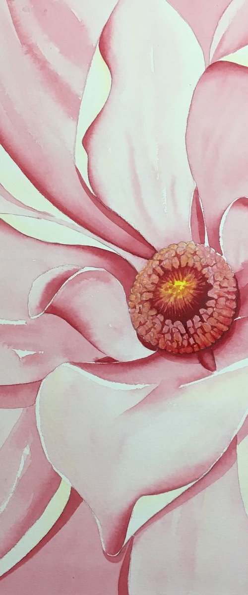 Passionate- The heART of a Flower III by Jill Griffin