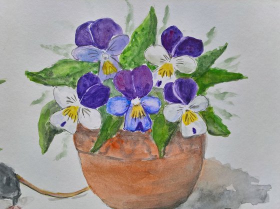 Violas and a little grey Mouse