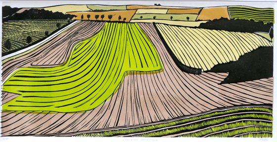 Ploughed Landscape