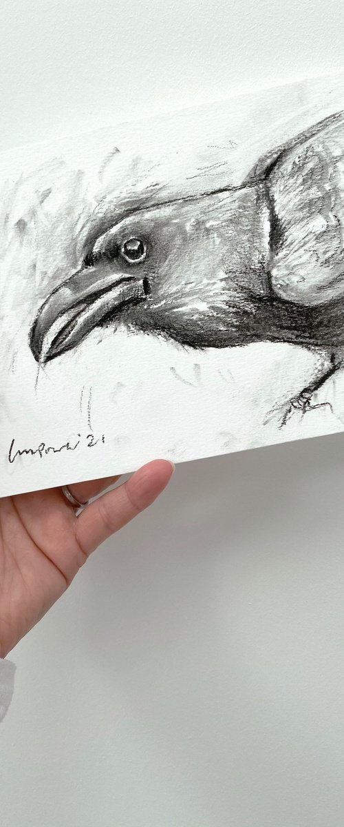 Charcoal Raven #04 by Luci Power