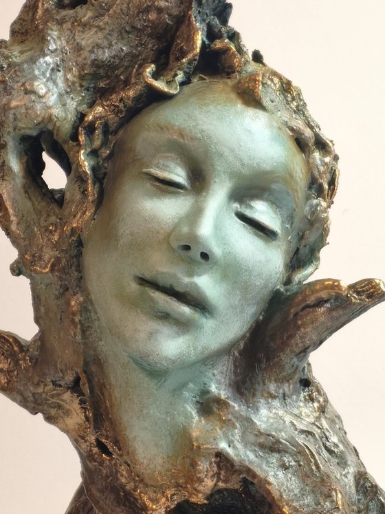 "Dryad"