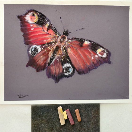 Butterfly (pastel)