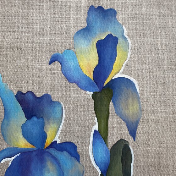 Blue Iris