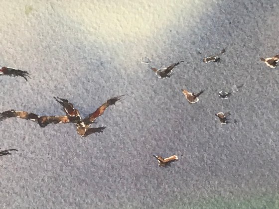 Red Kites over Forestry