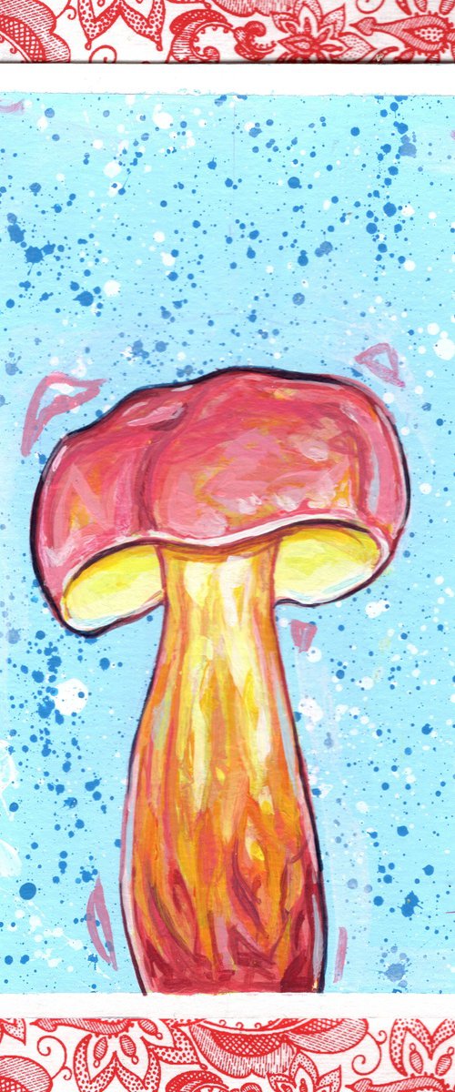 Two coloured bolete by Paul Ward