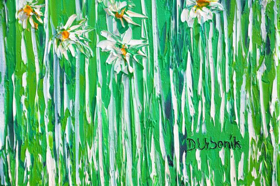 Daisies In The Grass 4