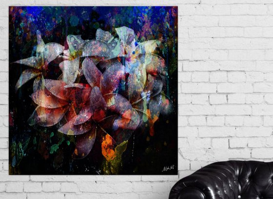 Abstract Plumeria Flowers