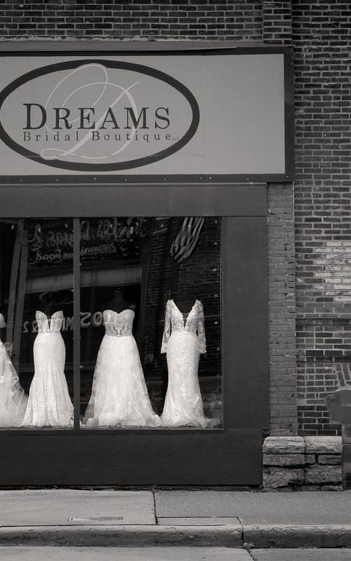 Dreams by Robert Tolchin