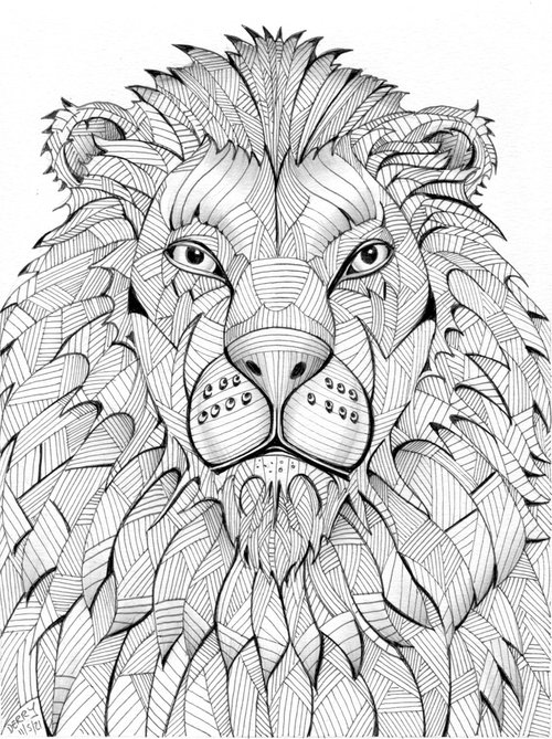 Lion by Spencer Derry ART