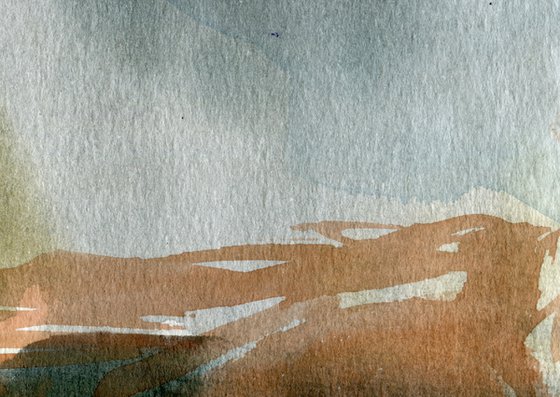 Light on the Marshes