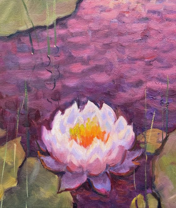 Lily Symphony