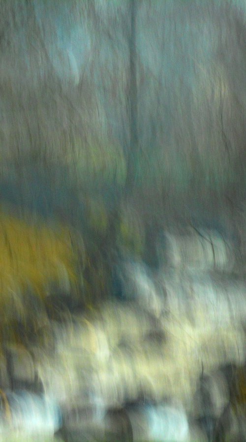 Osmose.... by PHILIPPE BERTHIER