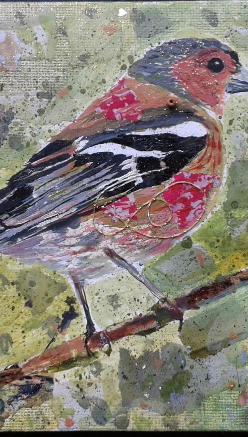 Chaffinch by Fiona Plaisted