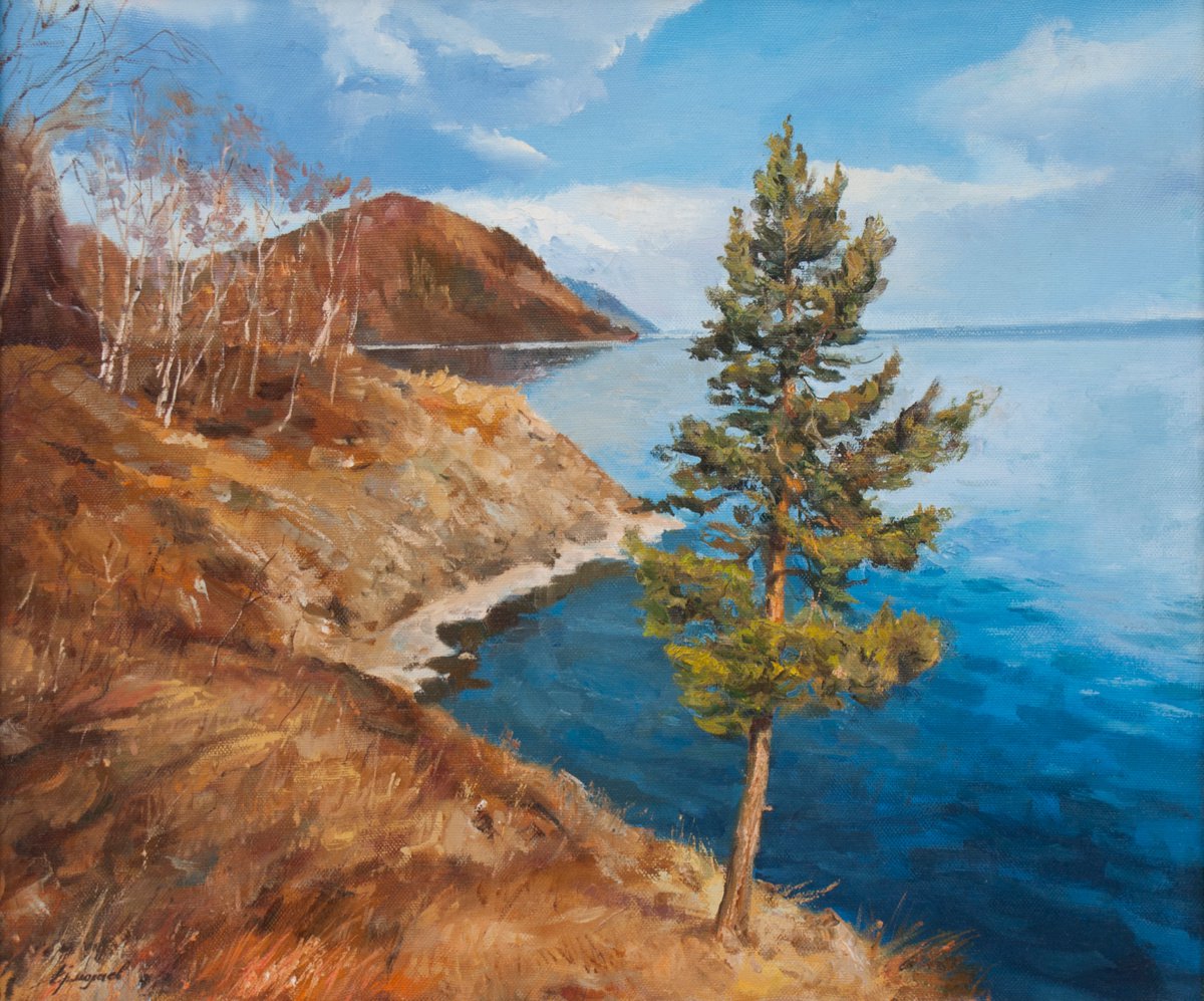 Pine tree near Lake Baikal by Yuri Ermolaev