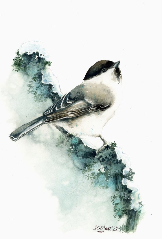 Marsh tit, watercolor of birds and wildlife