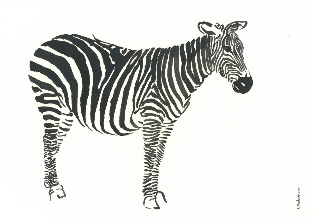 Zebra I Animal Drawing by Ricardo Machado