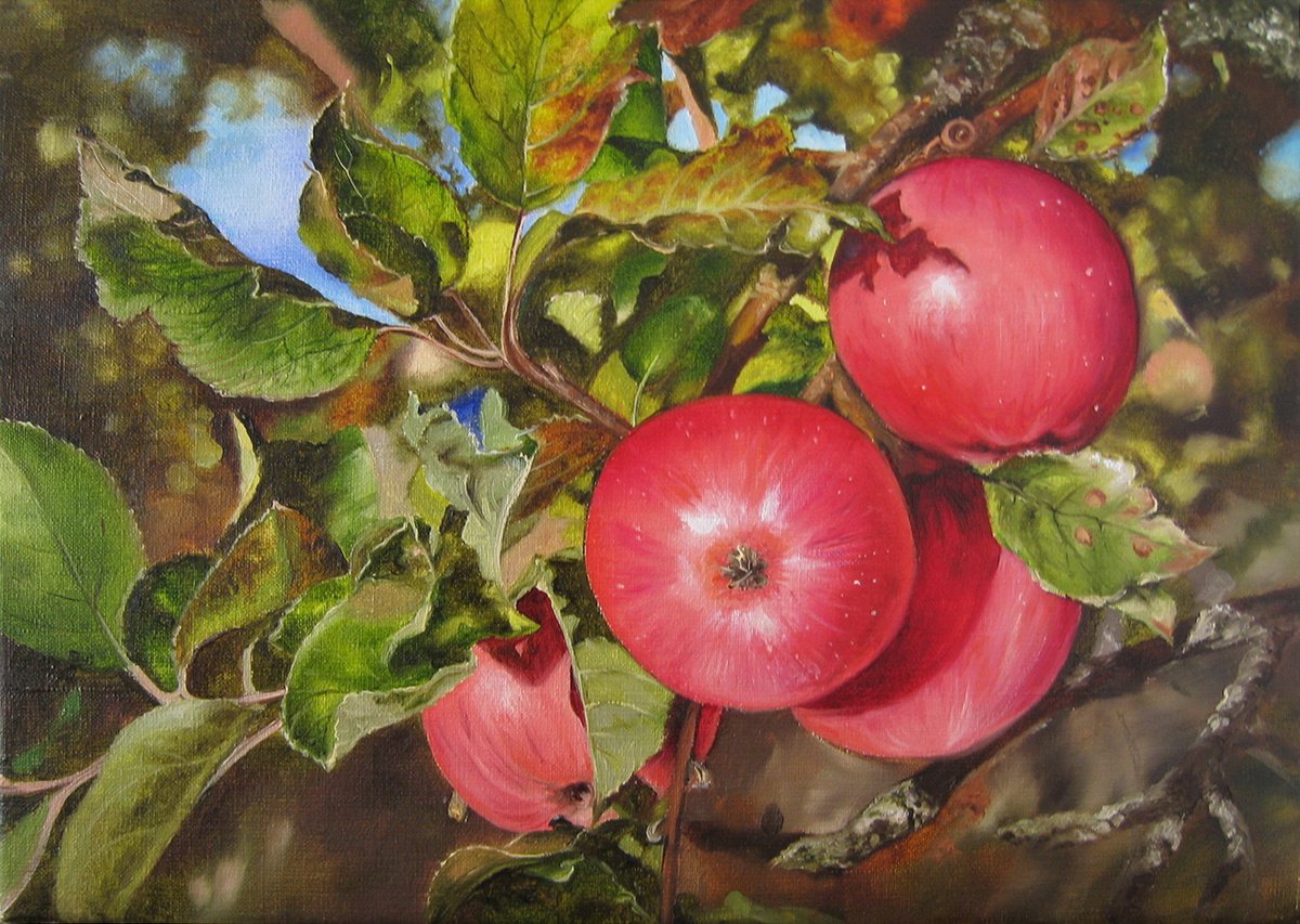 Photorealistic Oil Painting , Red Apples On Tree Branch By Natalia Shaykina, 14 X 10, Artwork For Sale On Artfinder