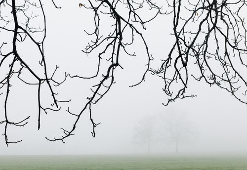 London Fog VIII by Tom Hanslien