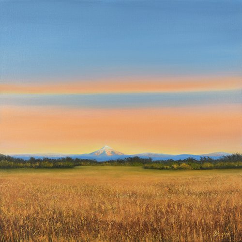 Distant Mountain - Blue Sky Golden Field Landscape by Suzanne Vaughan