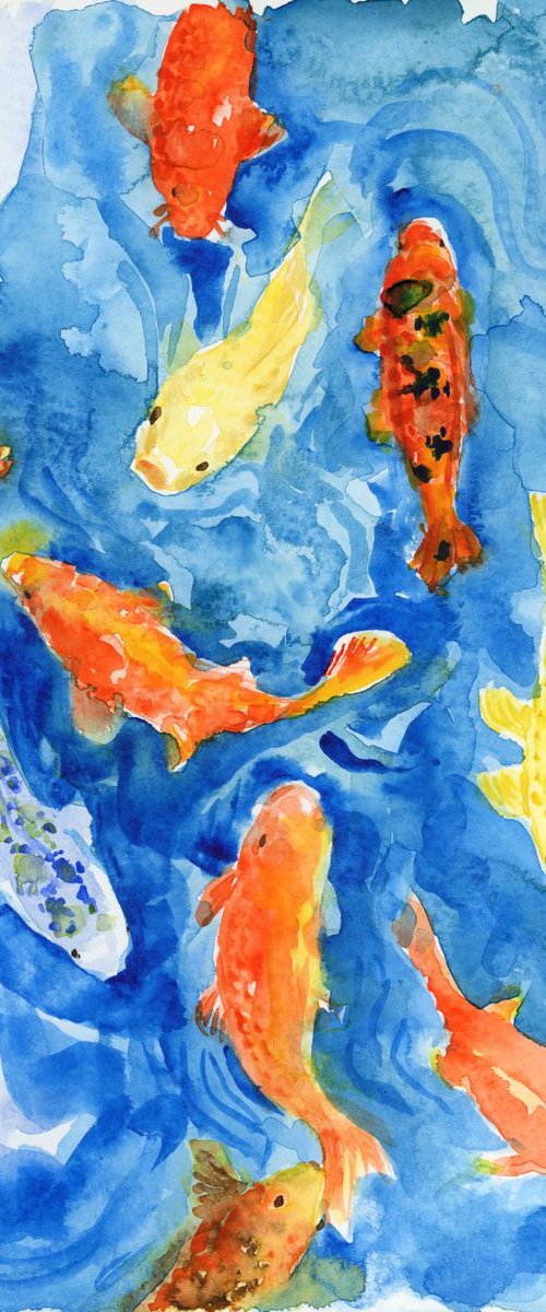 Koi fish in blue water by Yumi Kudo