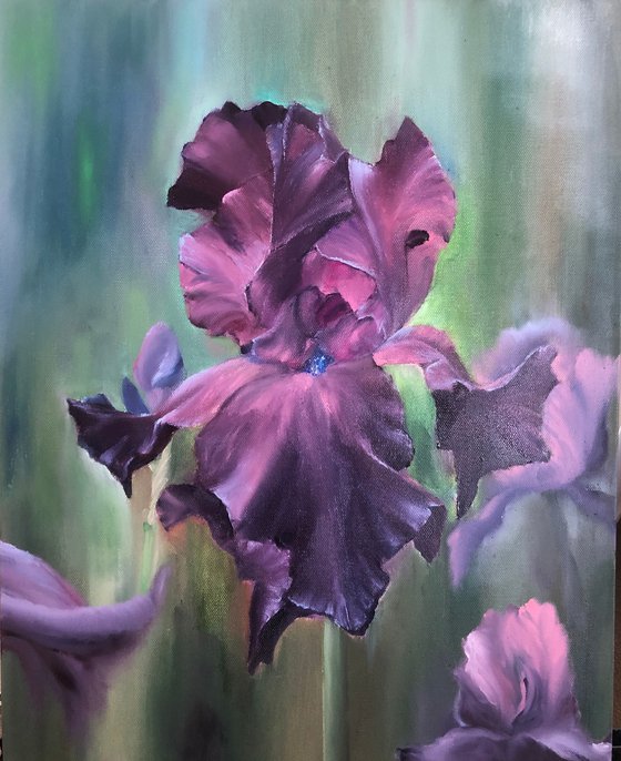 Purple Irises