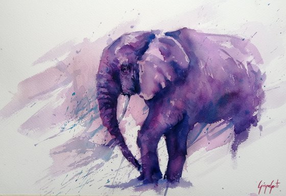 elephant 13