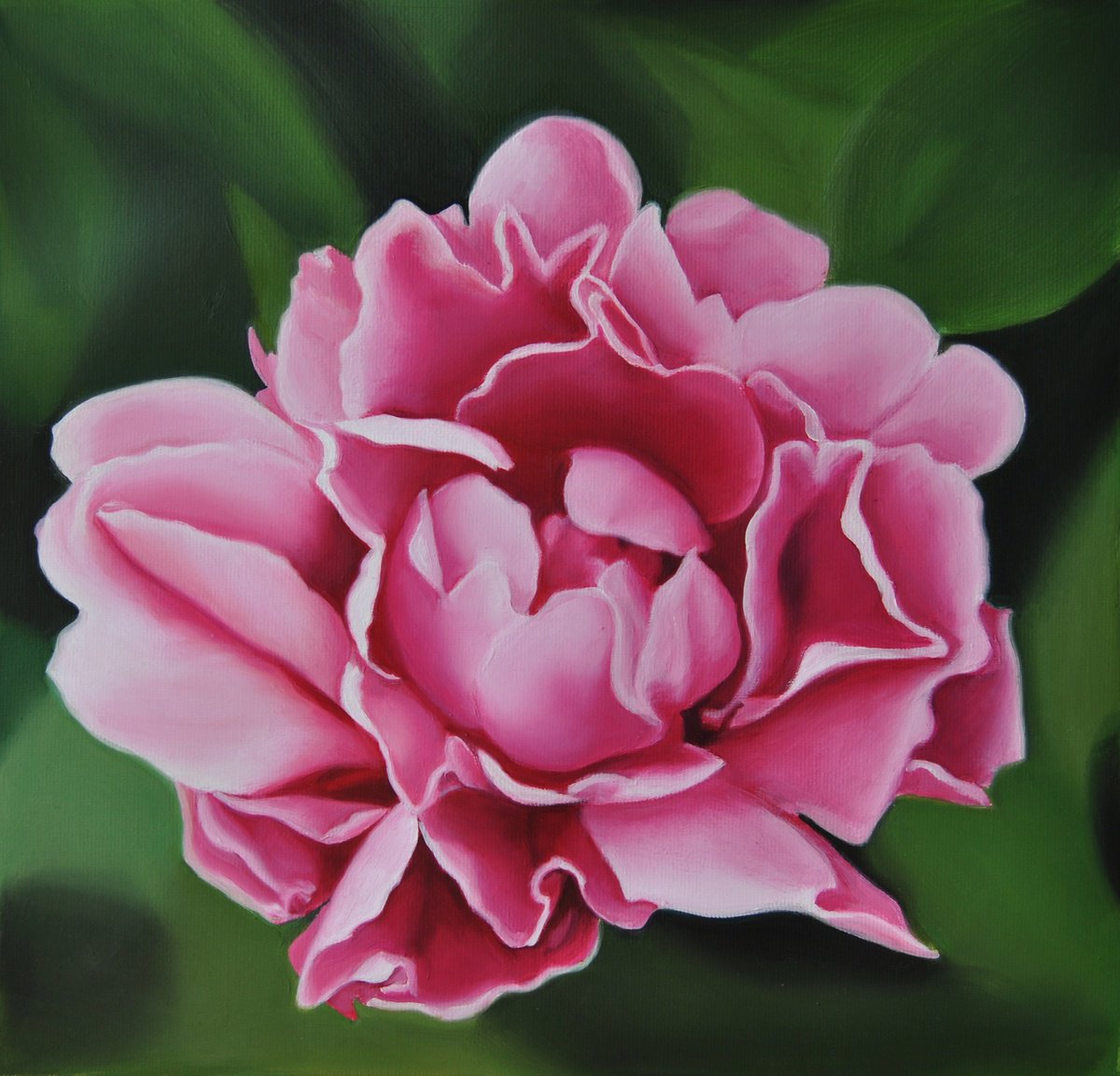 Photorealistic Oil Painting , Peony By Simona Tsvetkova, 12 X 12, Artwork For Sale On Artfinder