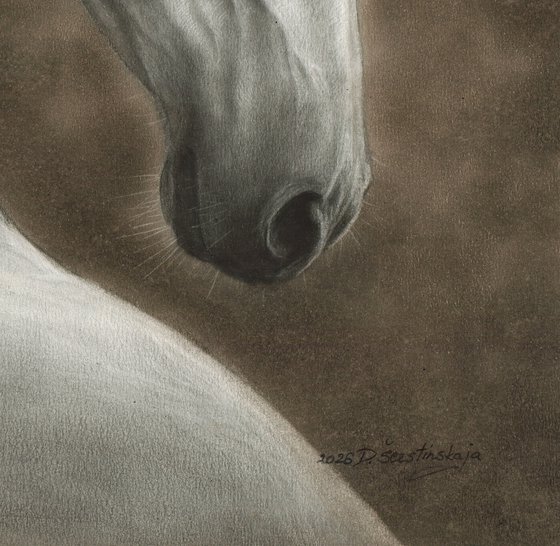 Silent Elegance