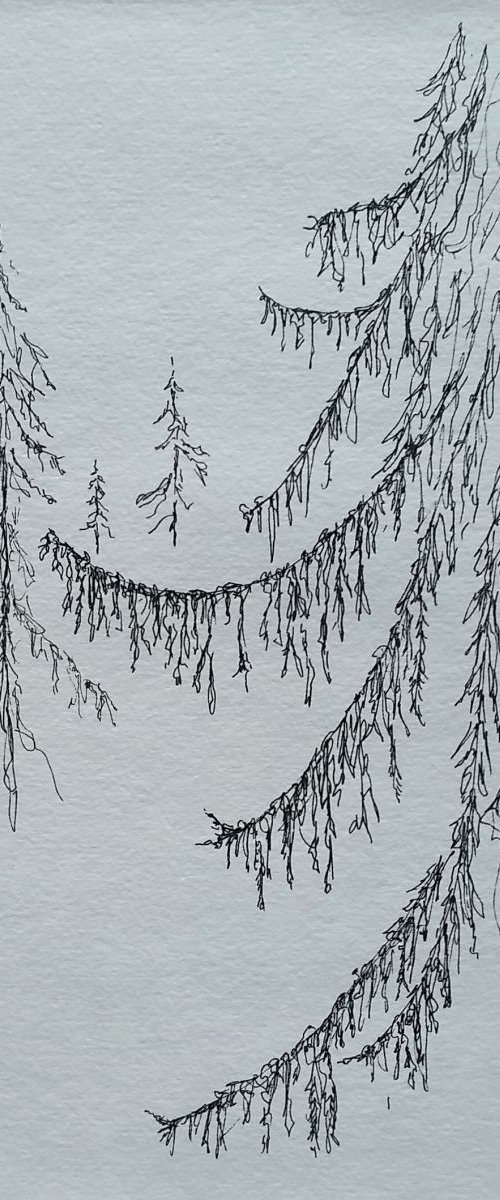 Within the Pines by Katrina Case