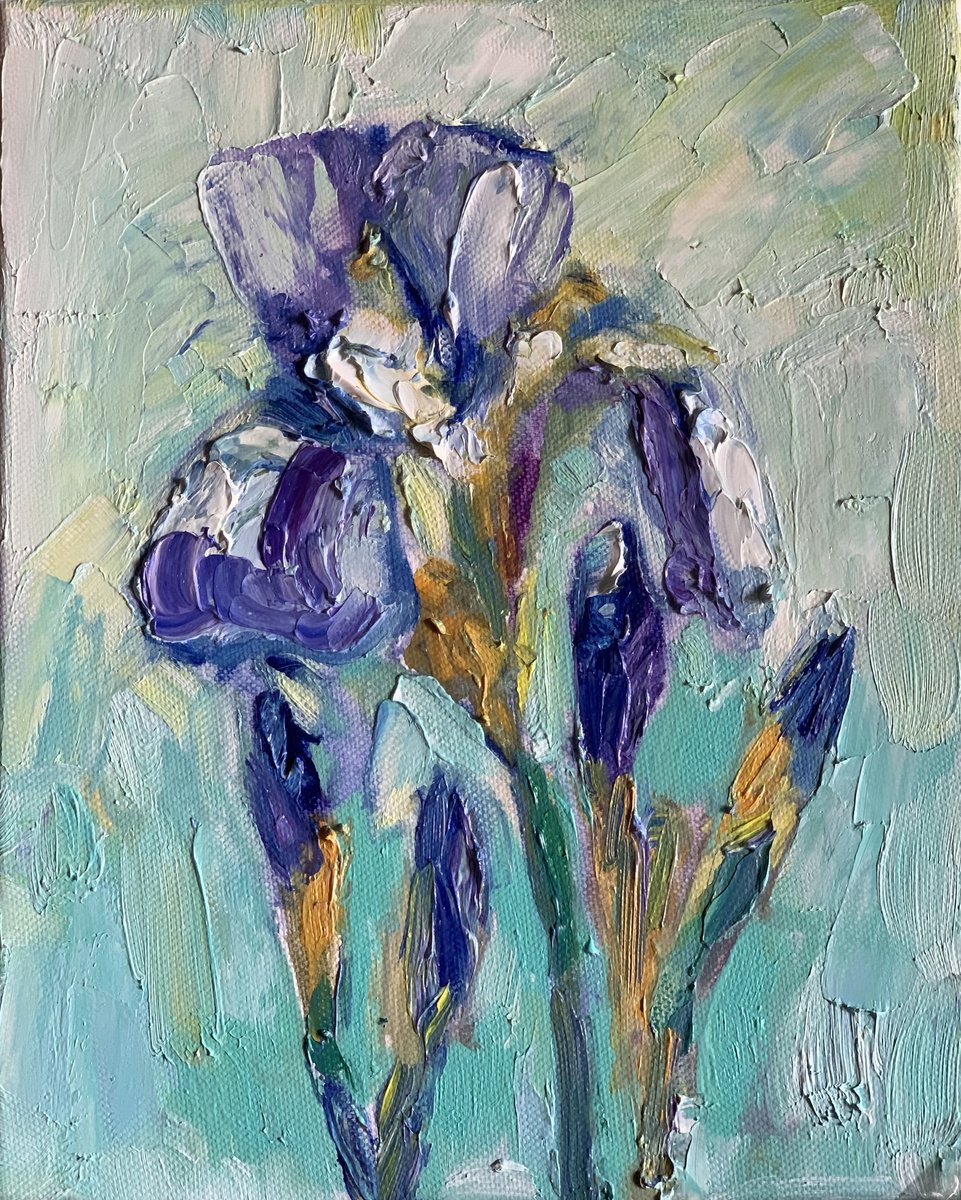 Impressionistic Botanical Oil Painting By Olga Pascari, 9 X 12", Iris, Original Artwork