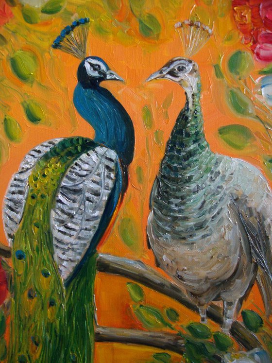 Pair of peacocks