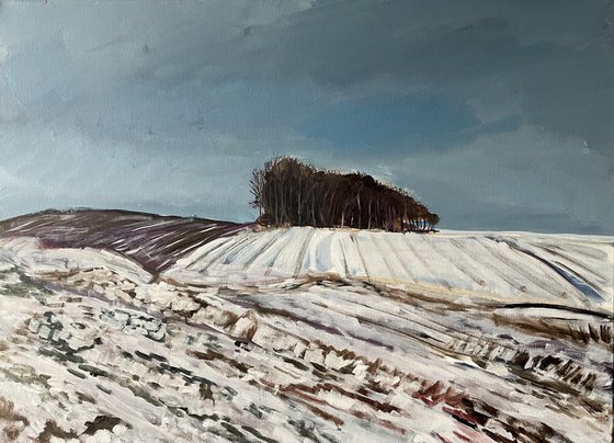 'The lonliness, Winter, Fife'