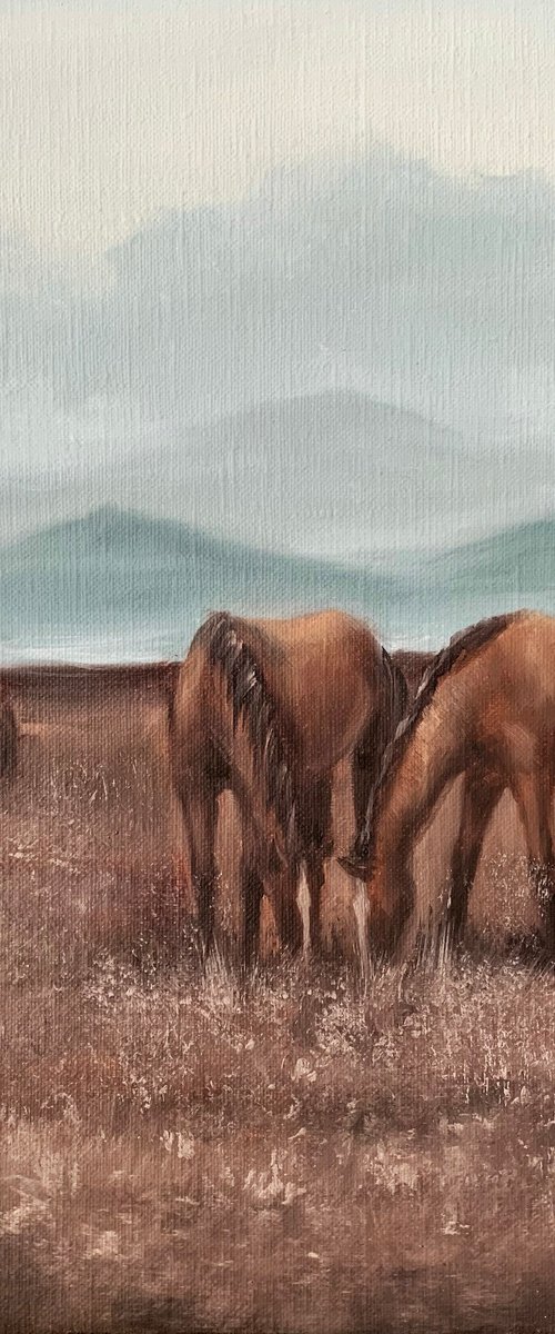 Mountain valley by Alina Marsovna