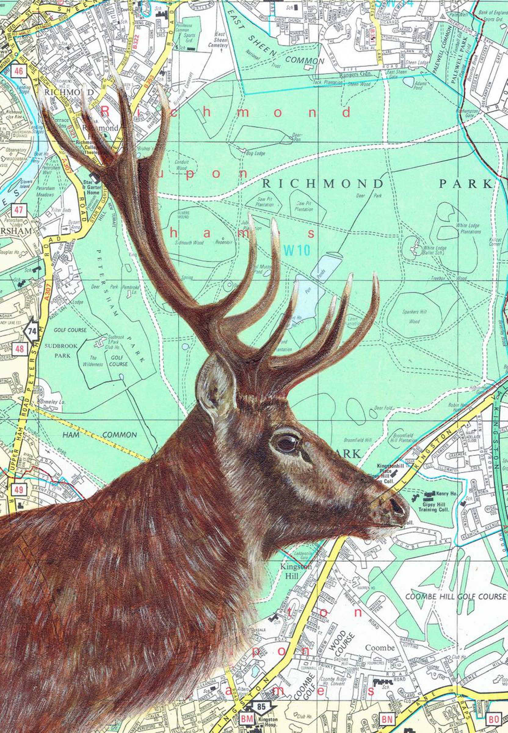 Red Deer Stag On Richmond Map Framed Map Art Artfinder