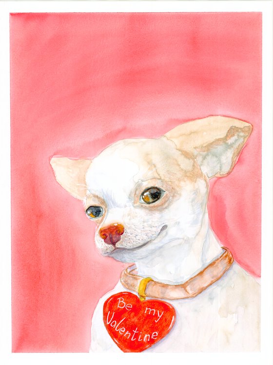 Set of 2 portrait of maine coon cat and chihuahua dog with red heart