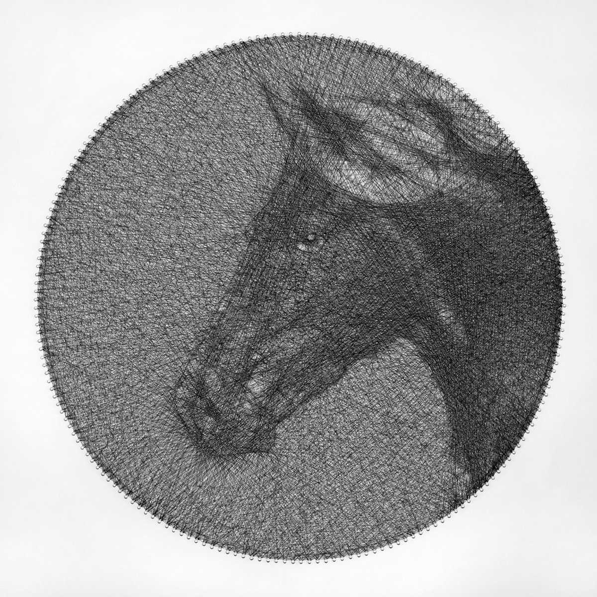 Black Horse Sring Art by Andrey Saharov