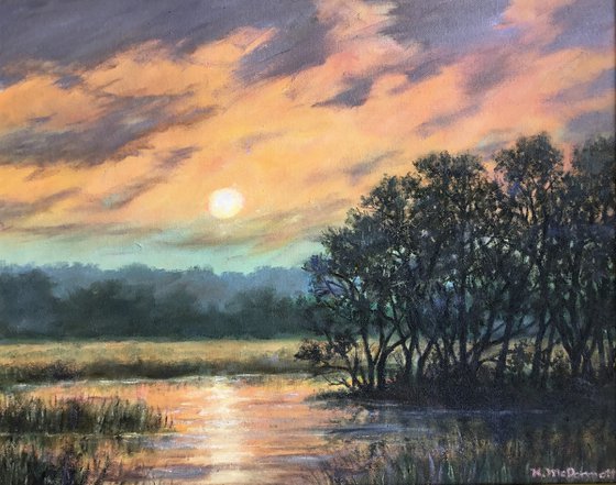 STORMY MARSH MORNING