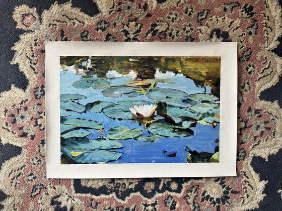 Waterlilies