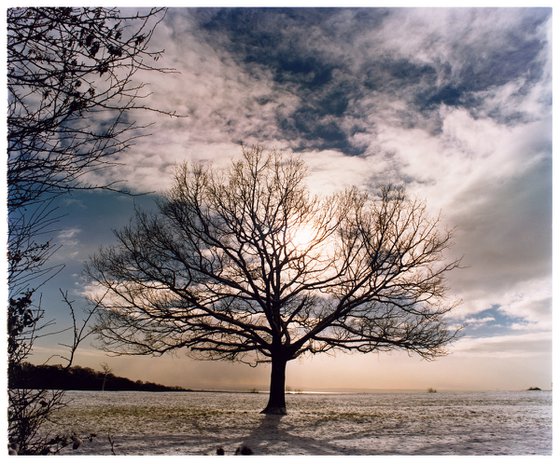 One Tree Hill, Langdon Hills Country Park